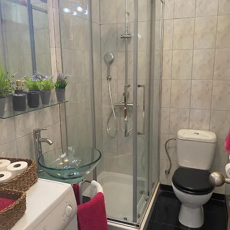 Com Patio Na Rua Principal Da פורטו